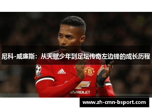 尼科-威廉斯：从天赋少年到足坛传奇左边锋的成长历程