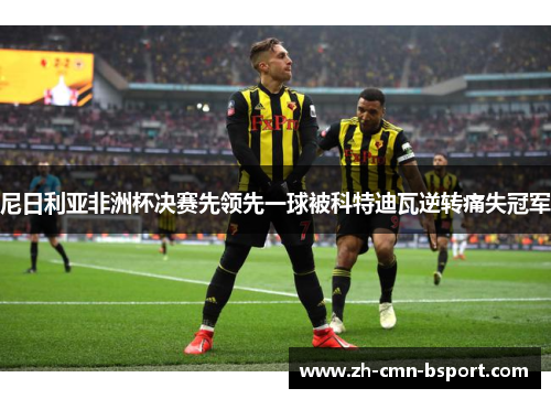 尼日利亚非洲杯决赛先领先一球被科特迪瓦逆转痛失冠军